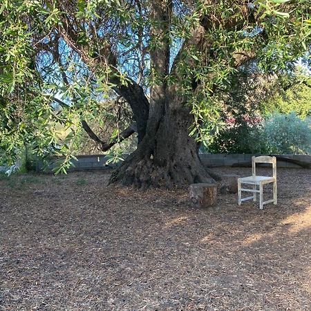 Casa Olea Βίλα Sorso Εξωτερικό φωτογραφία