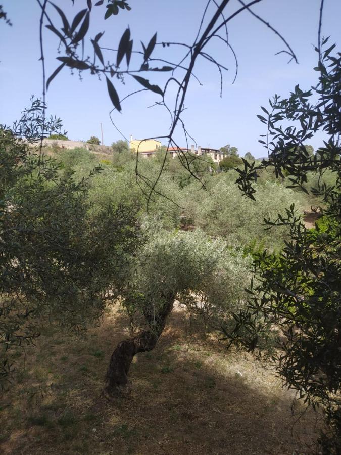 Casa Olea Βίλα Sorso Εξωτερικό φωτογραφία
