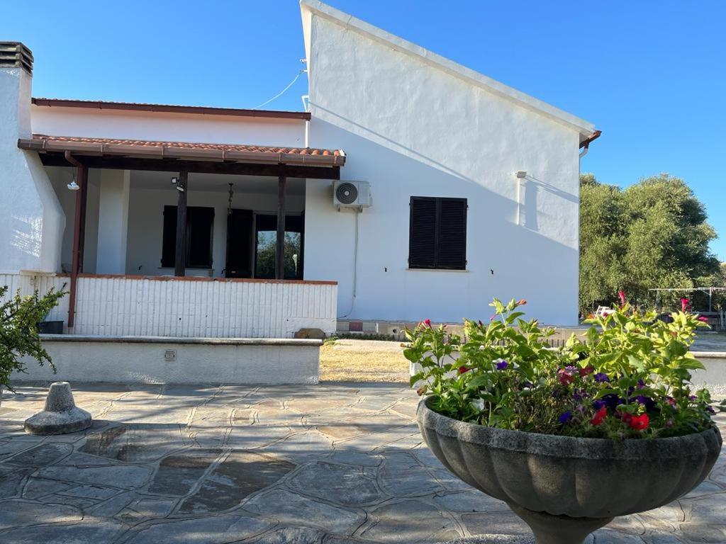 Casa Olea Βίλα Sorso Εξωτερικό φωτογραφία
